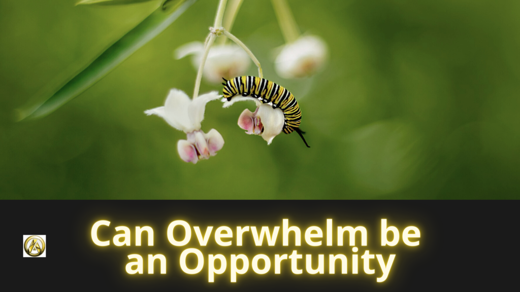 Can overwhelm be an opportunity