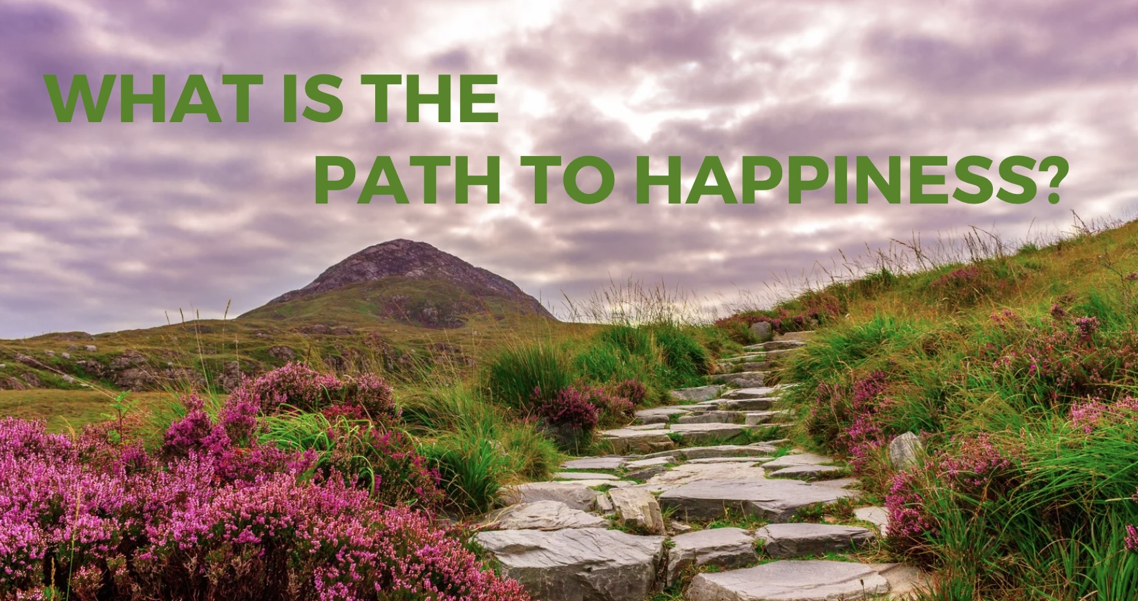 You are currently viewing What is the path to happiness?